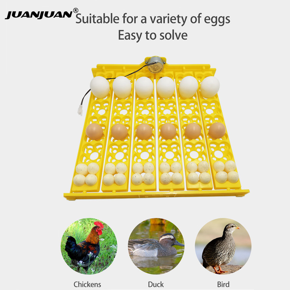 24 Eggs Tray Incubator Turner  - مراجعة Embroidery Egg وسعره