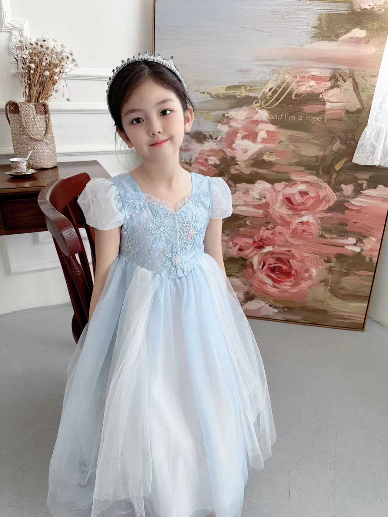 Embroidered Elsa Girls Dress f - مراجعة Embroidery Web وسعره