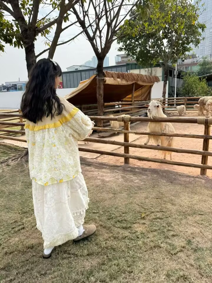 Yellow Color  Vintage Cotton P - مراجعة Embroidery Yellow وسعره